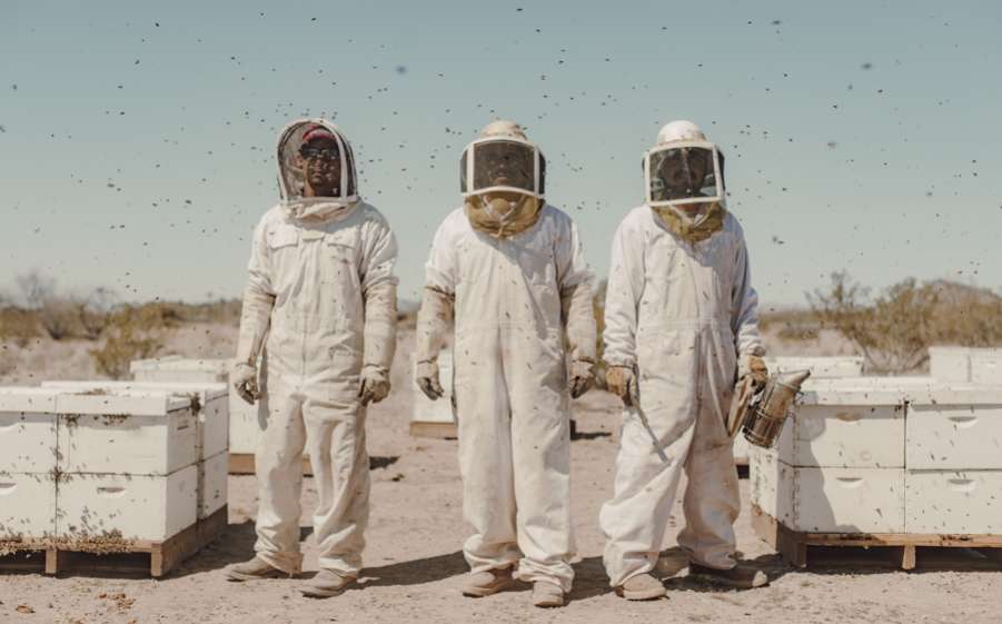 085_North_and_Central_America_Singles_Jonas_Kako_Panos_Pictures_900x560px-1