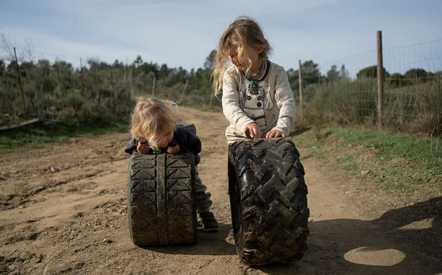 a_goat_is_not_a_chicken_ccarmen_koerner