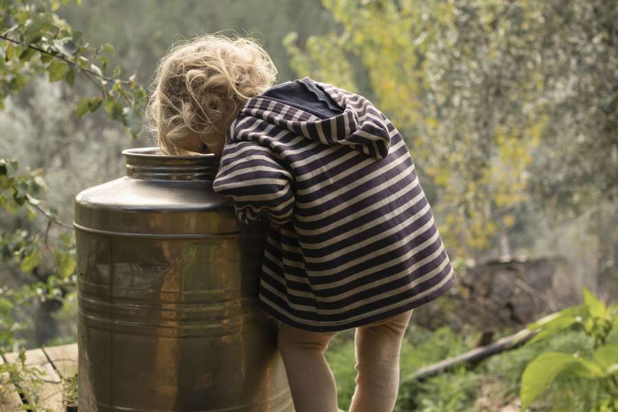 a_goat_is_not_a_chicken2_ccarmen_koerner_