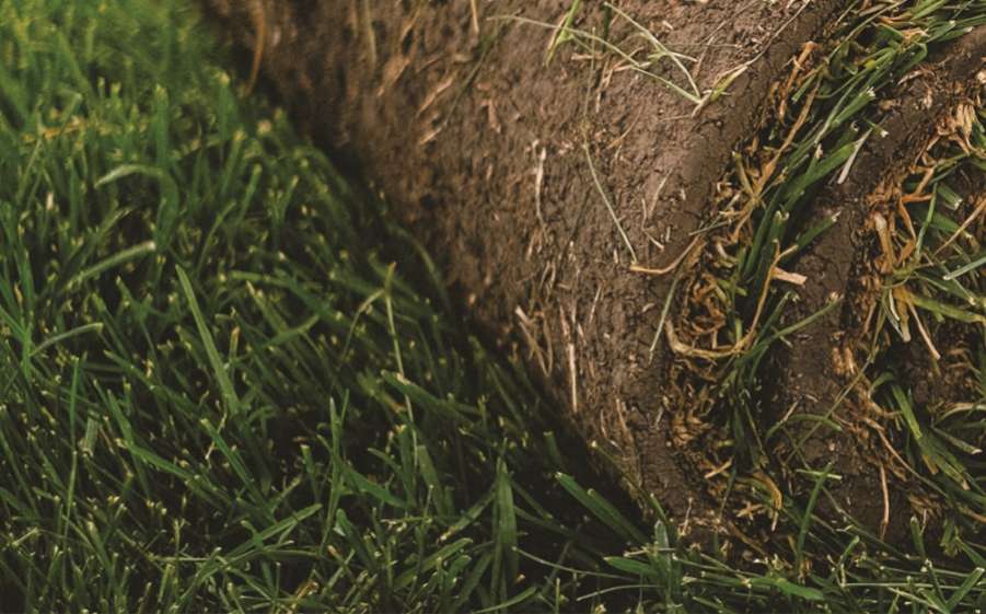 auf_einen_garten_in_der_galerie_im_depot