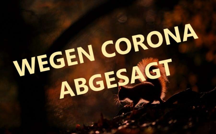 hermann-hirsch-abgesagt