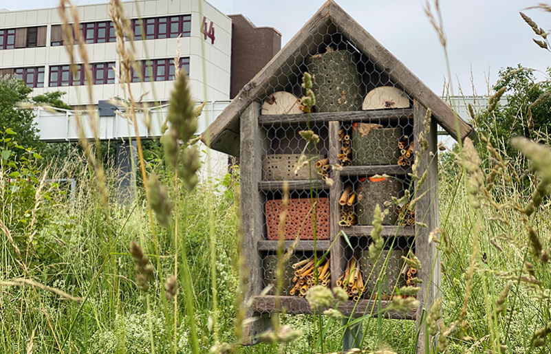 insektenhotel_foto_fh_dortmund