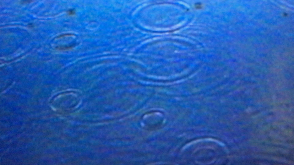 laborart wasser