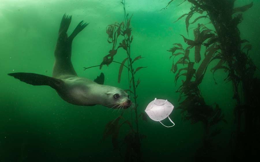 World_Press_Photo_2021_-_Ralph_Pace