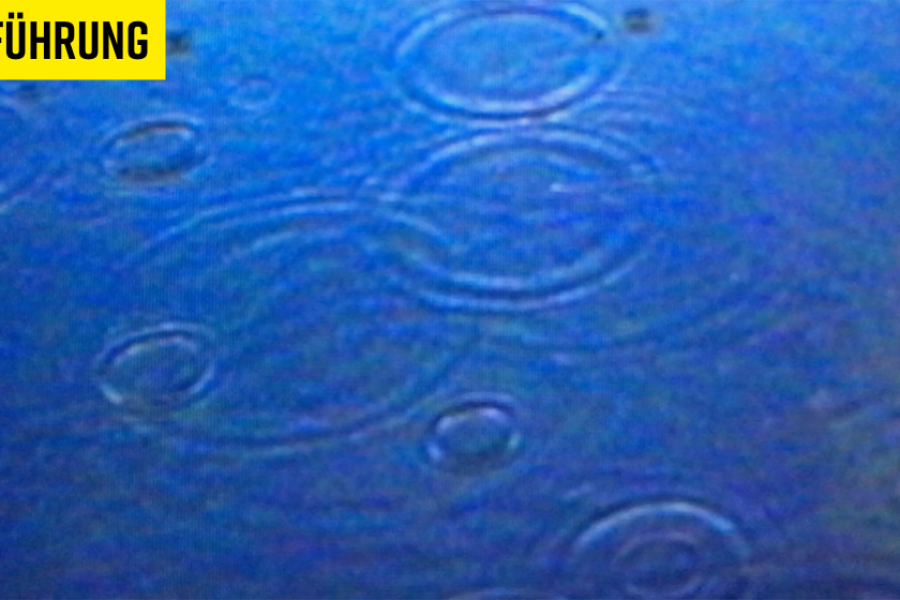 FÜHRUNG LABORARTDEPOT - FÄLLE VON WASSER